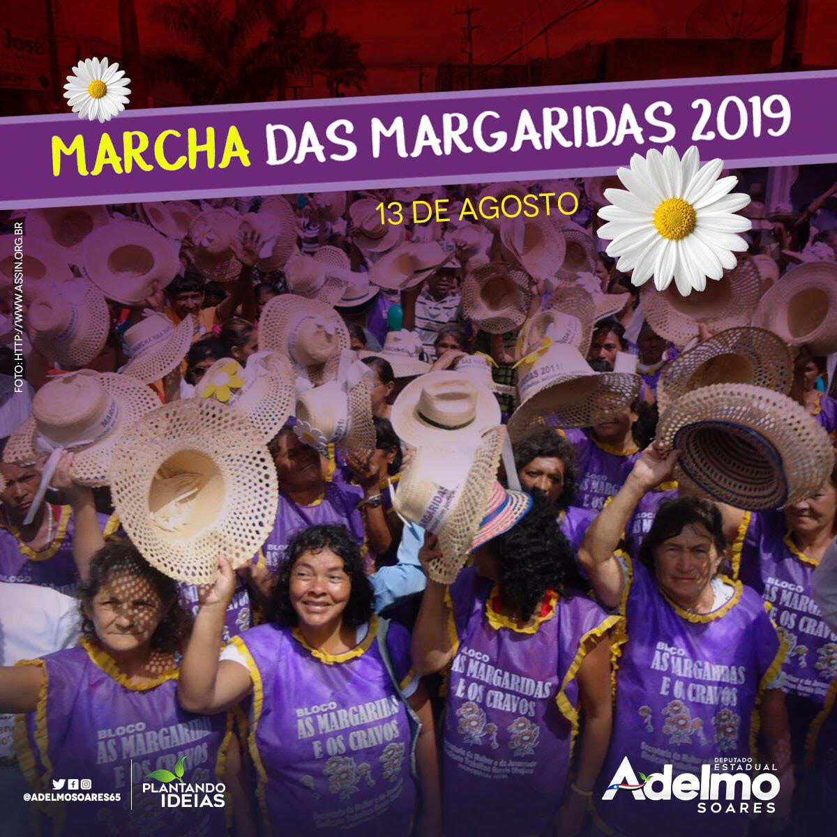 Deputado Adelmo Soares apoia a 6° Marcha das Margaridas, em Brasília 