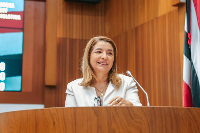 Iracema Vale agradece apoio para implantação da Lei que protege os Lençóis Maranhenses