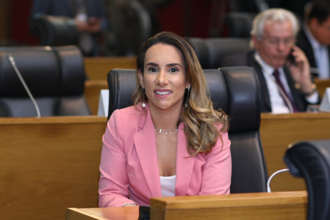Assembleia Legislativa do Estado do Maranhão - Thaiza Hortegal ...