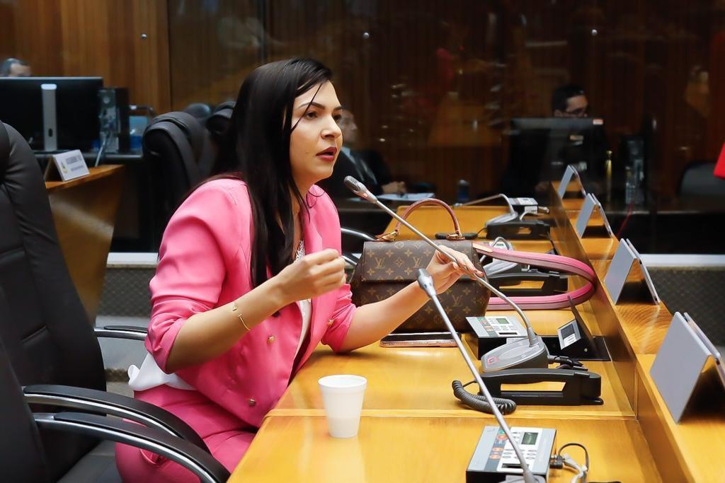 Deputada Janaína Ramos faz moção de aplausos em favor de PEC que visa à imunidade tributária de templos religiosos