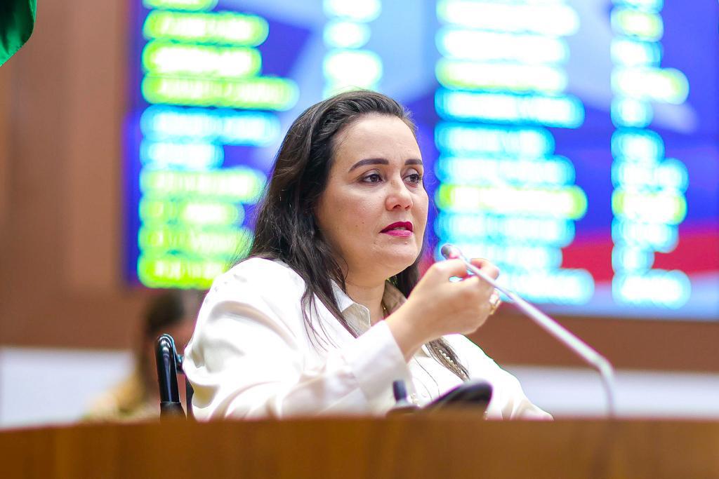 Aprovado PL de Andreia Rezende que cria Programa de Acessibilidade em Prédios Públicos