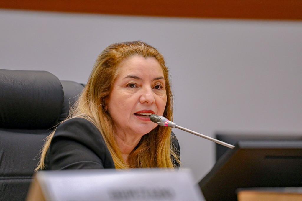 Iracema Vale faz balanço positivo do primeiro semestre de 2023 na Assembleia Legislativa