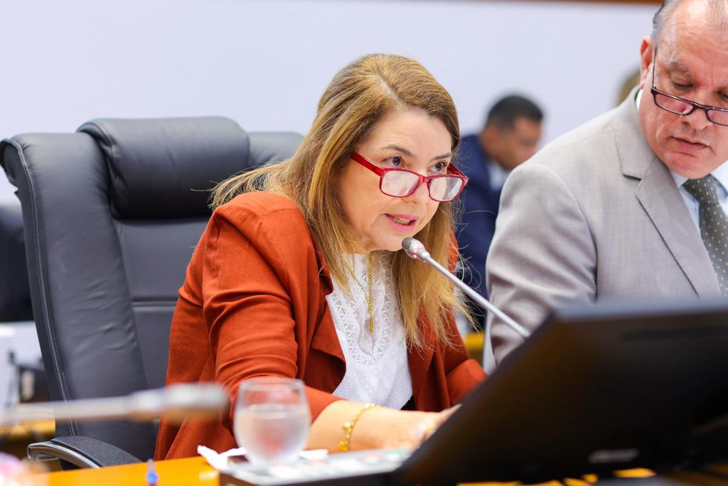 Presidente Iracema Vale destaca alta produtividade da Assembleia Legislativa em 2023