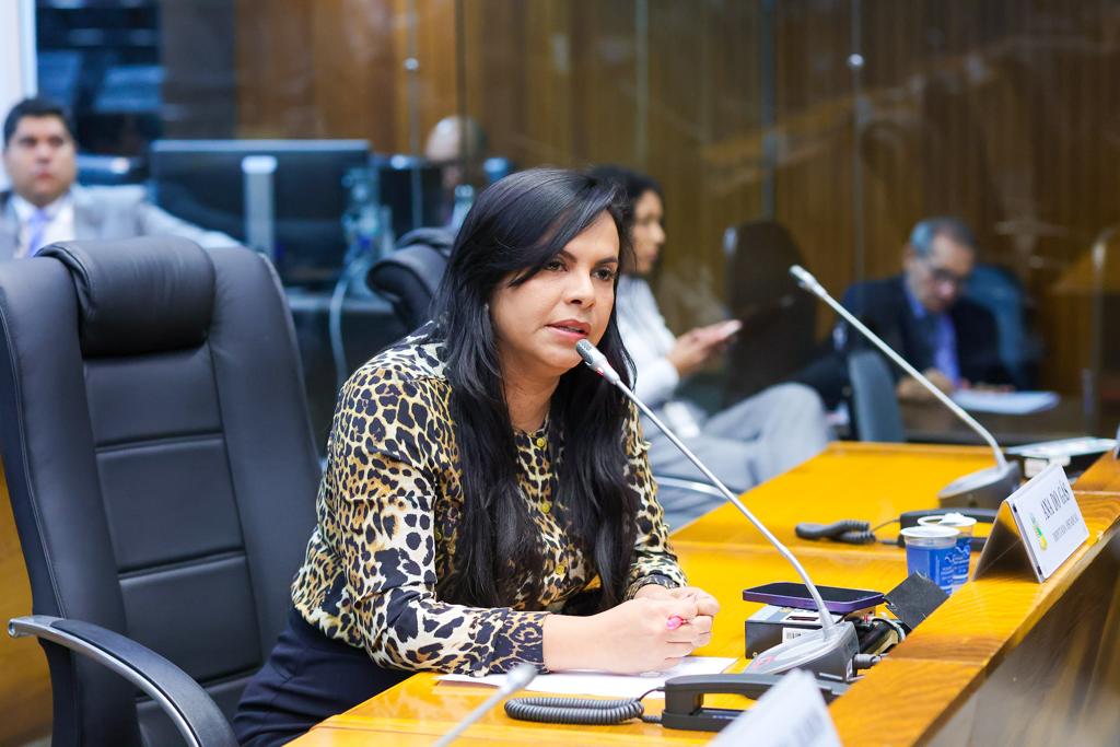Deputada Ana do Gás destacou ser um crime o que estão cometendo com o senador e atual ministro da Justiça