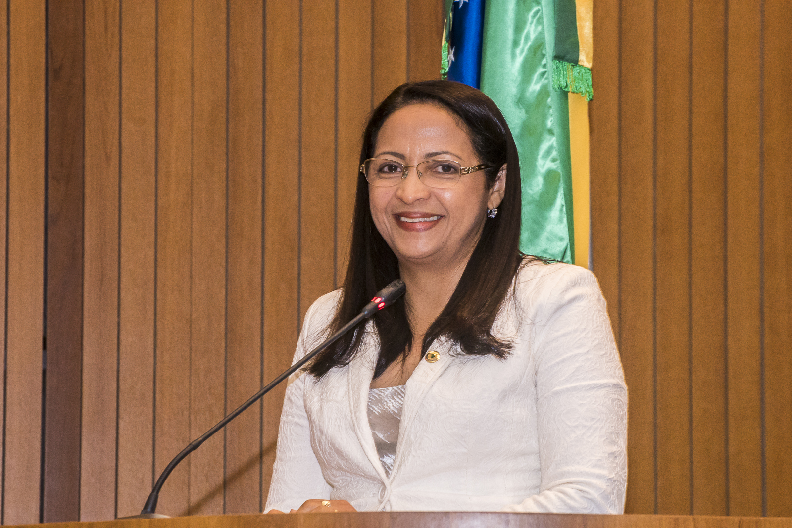 Plenário aprova projetos de Francisca Primo de combate à criminalidade e em benefício das mulheres