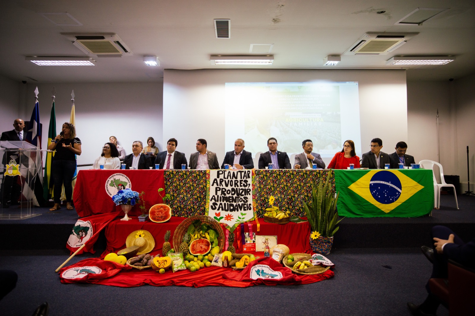 Evento, realizado no Auditório Neiva Moreira, foi comandado pelo deputado Júlio Mendonça