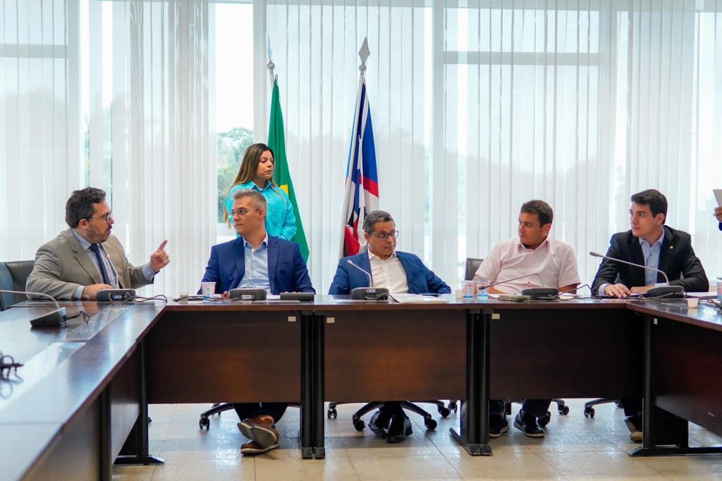 O defensor público geral do Estado do Maranhão, Gabriel Santana Furtado Soares, agradeceu à Assembleia durante a reunião da CCJ