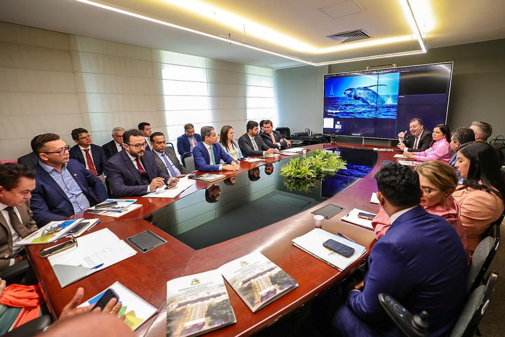 A Gasmar fez aos deputados uma importante explanação sobre duas das cinco bacias da Margem Equatorial