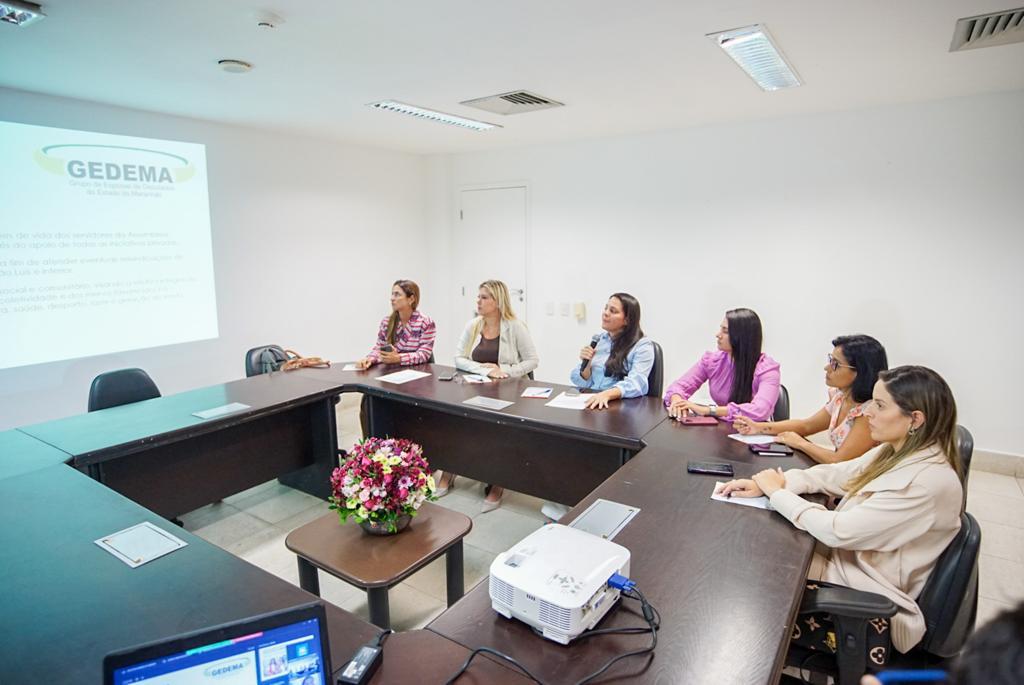 Integrantes do Gedema reúnem-se com a presidente da entidade, Carol Duailibe 