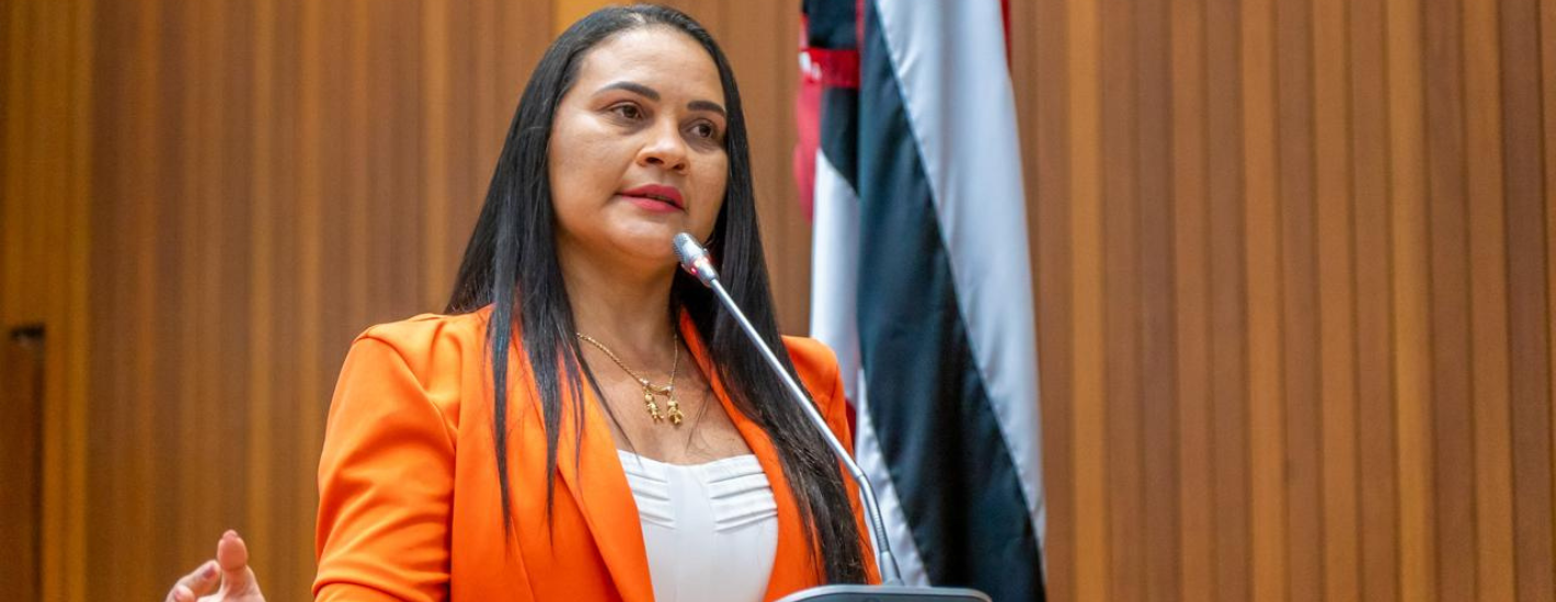 Edna Silva pede obras de infraestrutura para Santa Luzia, Bom Jardim, Bom Jesus das Selvas e Buriticupu