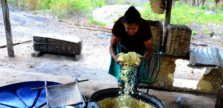 Comunidade quilombola de Piqui da Rampa comemora conquistas no 21º Festival da Farinha