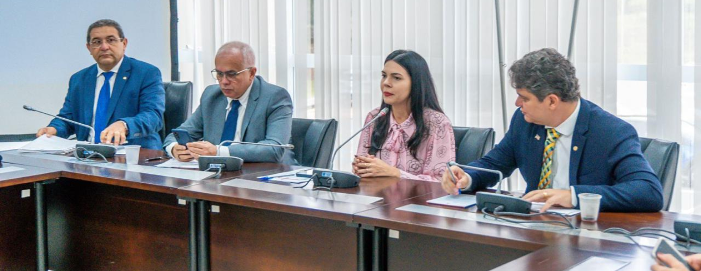 Comissão de Meio Ambiente é instalada com debate sobre desenvolvimento econômico do Maranhão