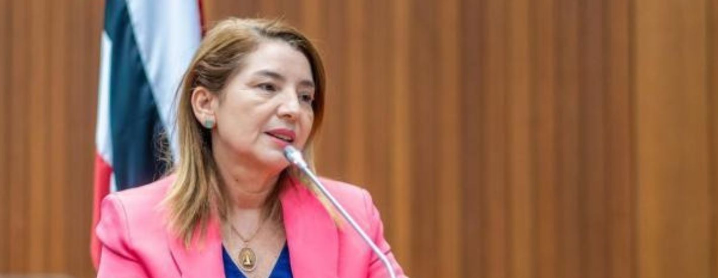 Aprovado projeto de Iracema Vale que estabelece diretrizes à Política Estadual de Saúde Funcional