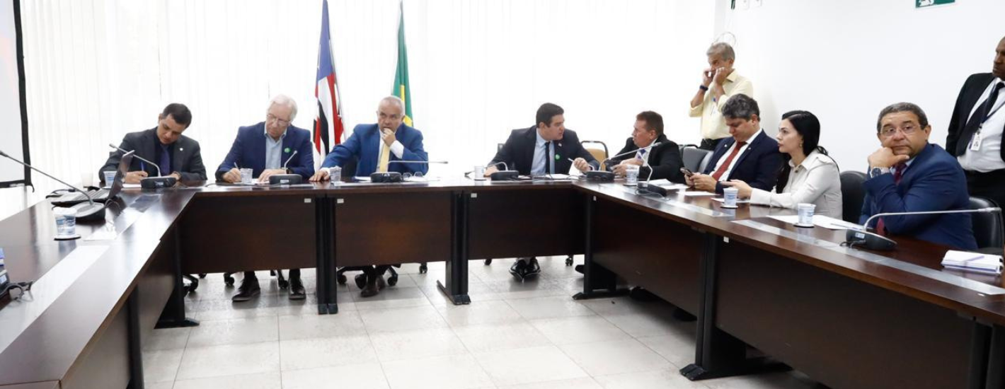 Comissão de Assuntos Econômicos discute geração de emprego e renda na área industrial do Maranhão