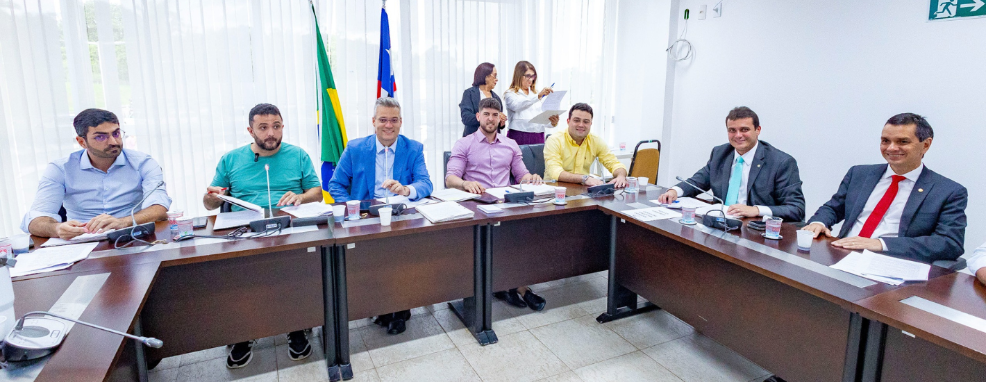 CCJ da Assembleia Legislativa apresenta balanço das atividades do primeiro semestre de 2024