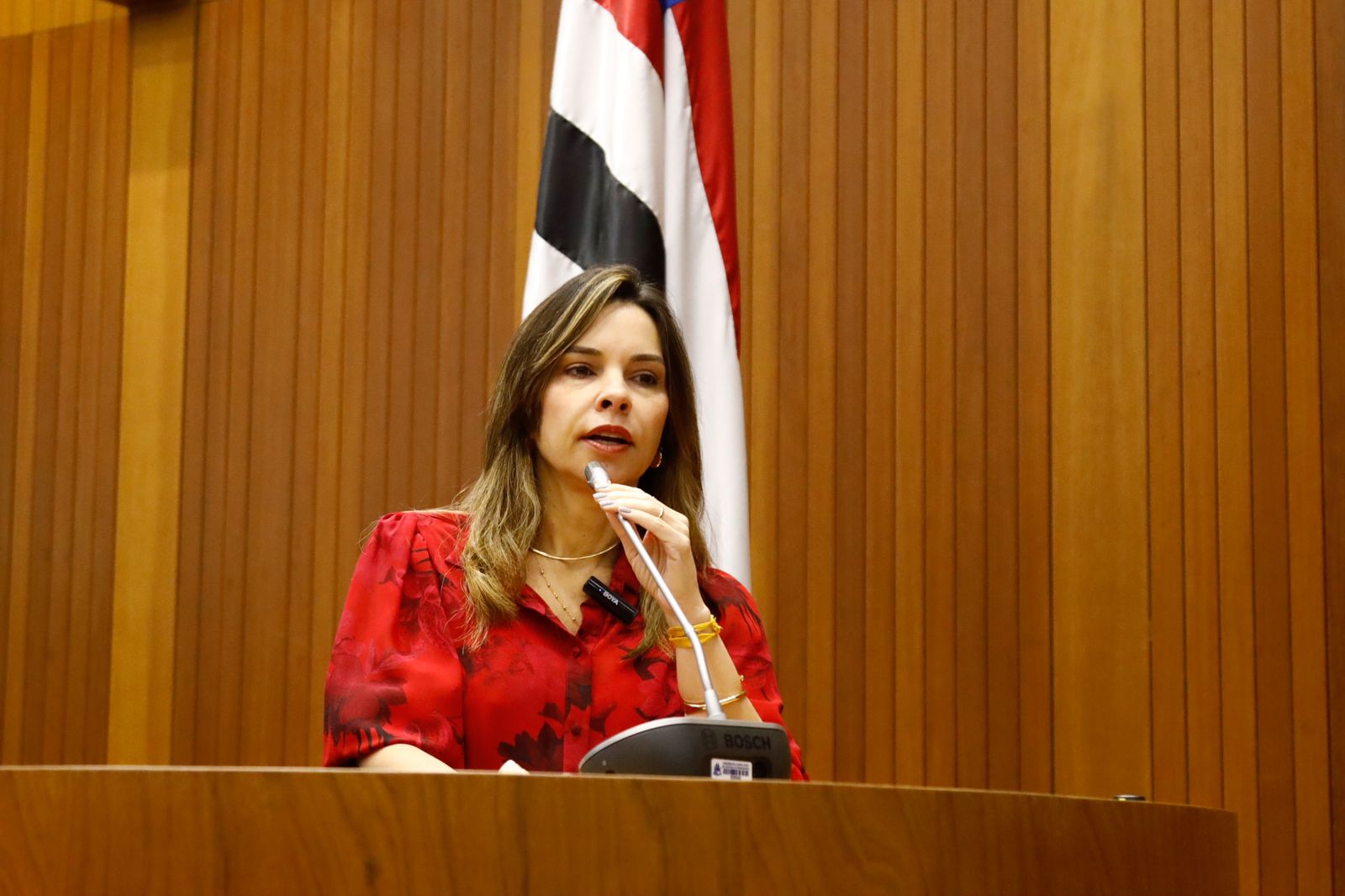 Dra. Vivianne defende implantação de curso de Terapeuta Ocupacional na Uema