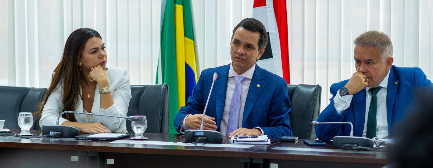 Comissão de Defesa dos Direitos Humanos estabelece ações prioritárias para este fim de ano