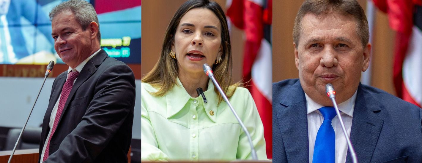 Parlamentares parabenizam Justiça Eleitoral e elogiam condução das eleições municipais
