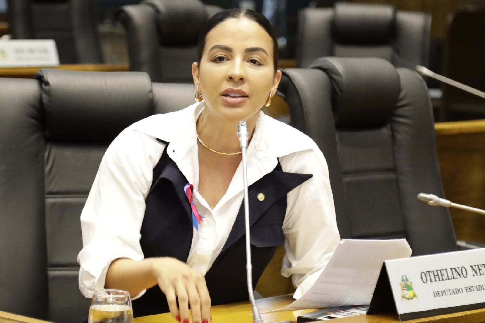 Daniella propõe discussão sobre taxas cobradas em apreensão de veículos