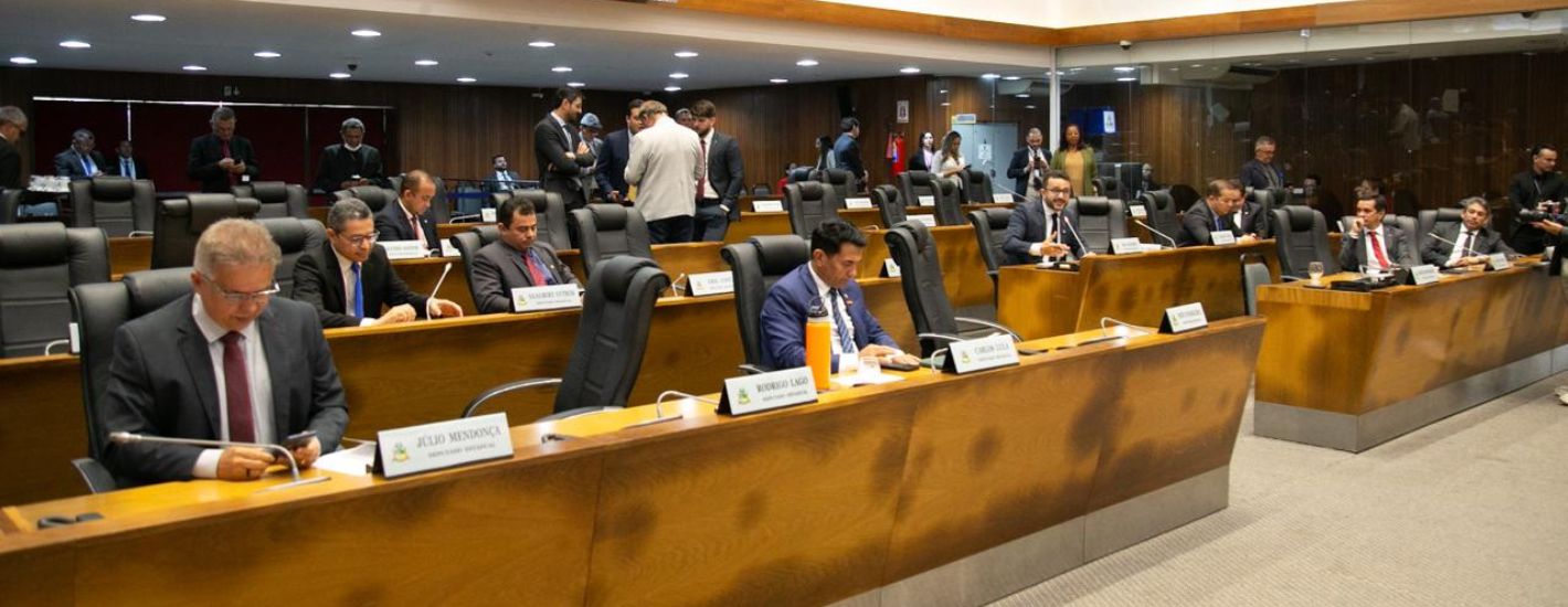 Plenário aprova PL que reconhece o gato-do-mato como espécie símbolo da biodiversidade do Maranhão