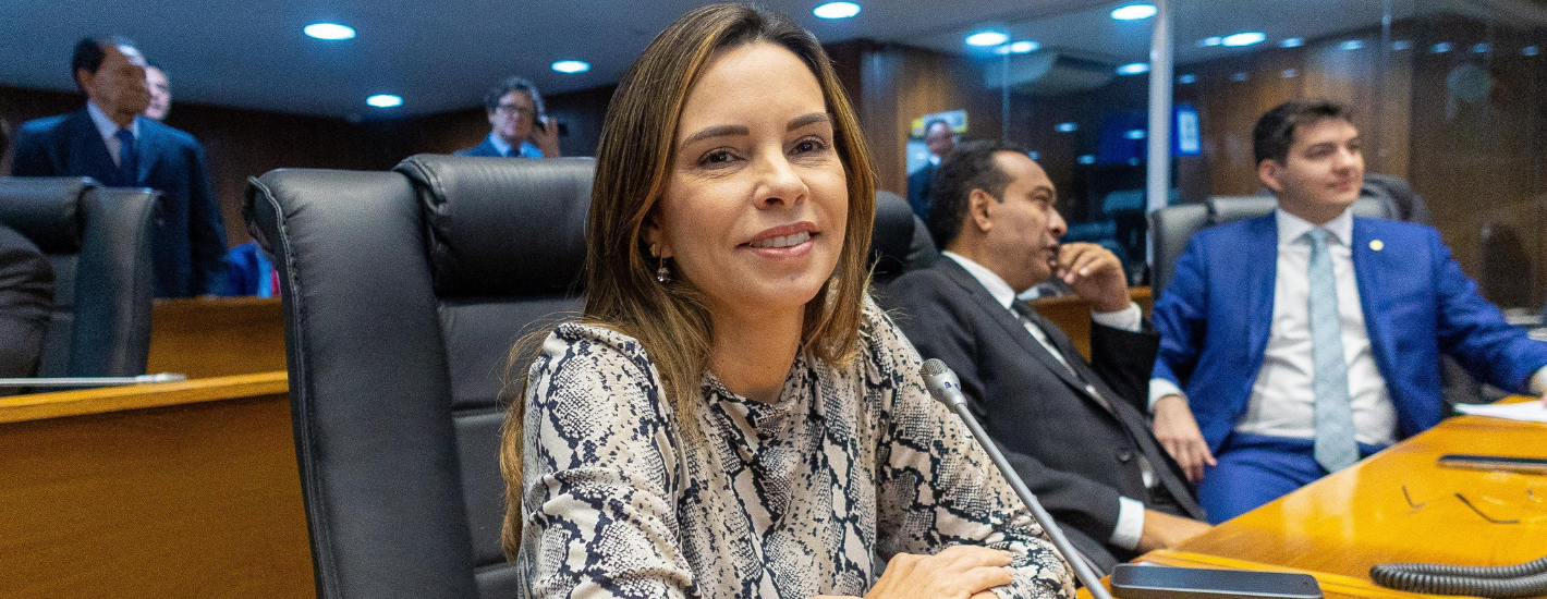 Aprovado PL que estabelece critérios para a concessão de incentivos fiscais e de terrenos públicos