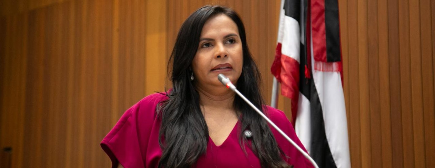 Deputada Ana do Gás pede investimentos em municípios maranhenses
