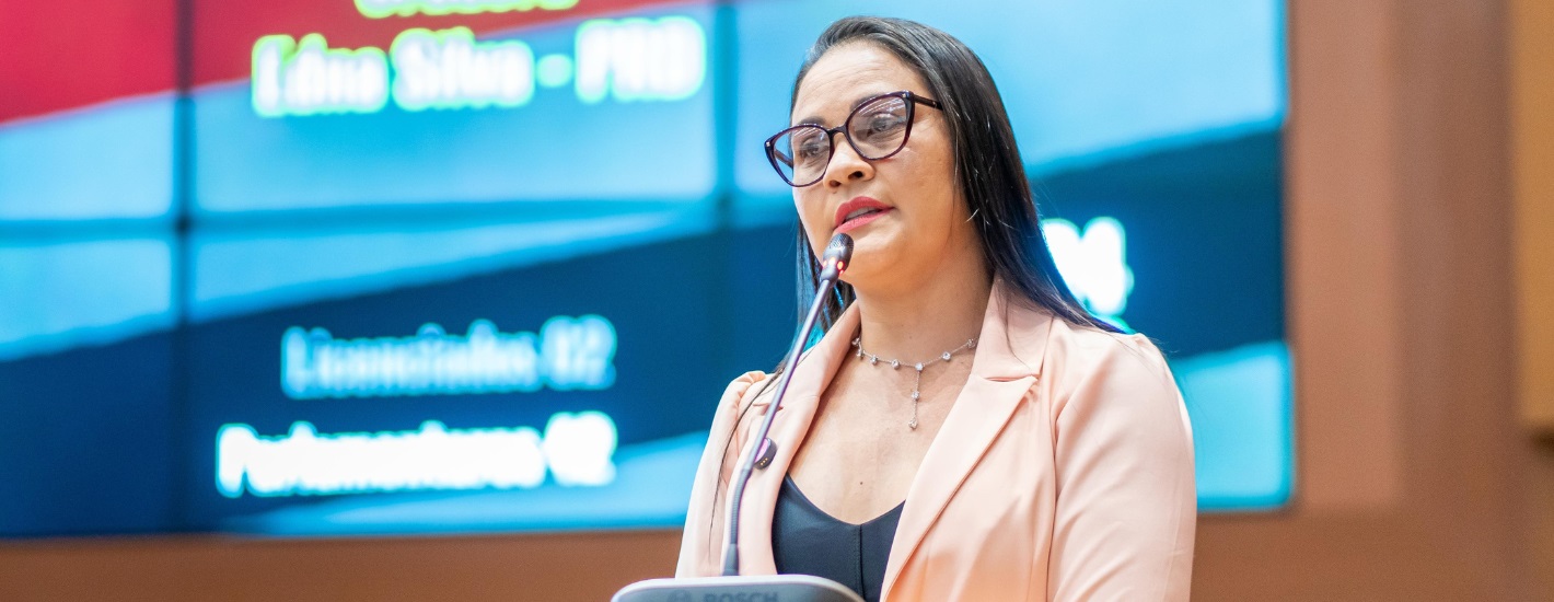 Edna Silva agradece governador Brandão e defende parceria para enfrentar o problema das voçorocas