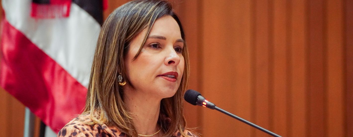 Dra. Vivianne repercute agenda parlamentar em municípios da Região Sul e elogia obras do Governo do Estado