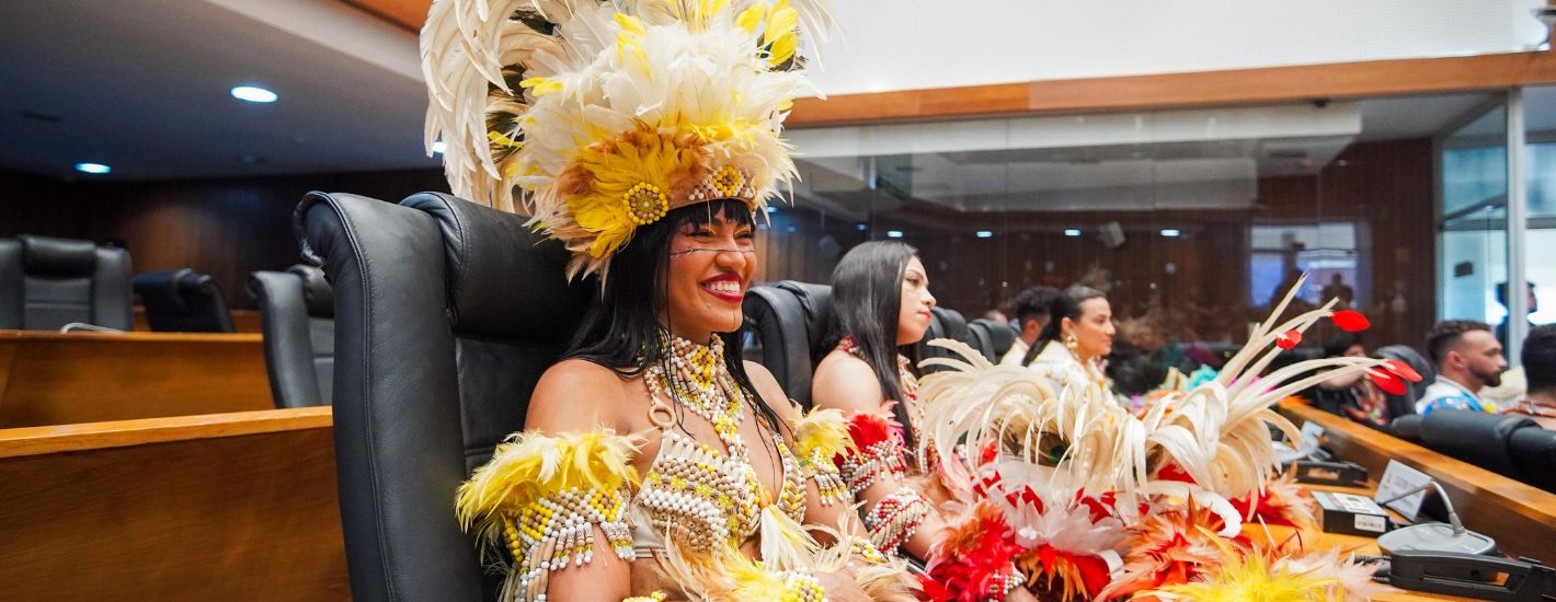 Assembleia homenageia grupos tradicionais do Bumba Meu Boi em sessão solene
