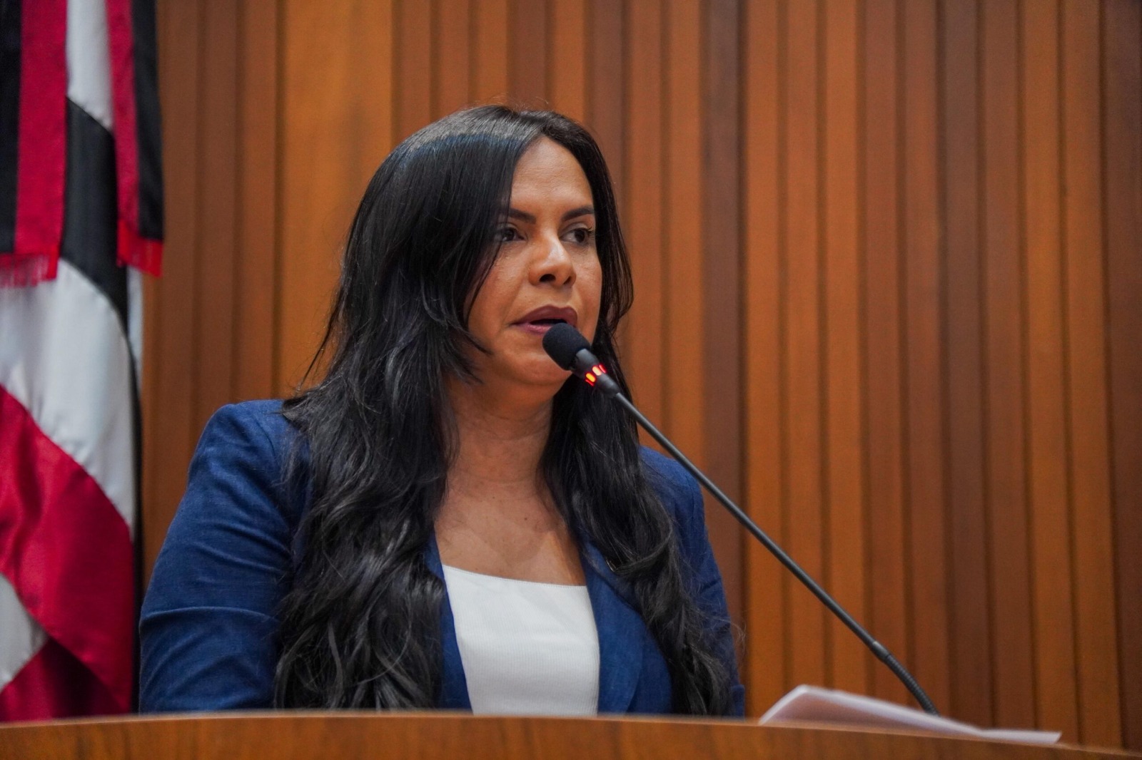 Ana do Gás enaltece iniciativa do governador para combater a fome no Maranhão