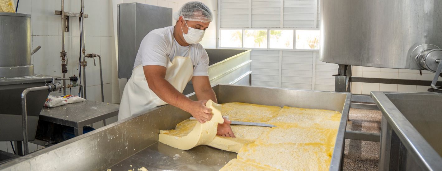 Maranhão avança com nova ‘Rota do Queijo’ e conquista prêmios importantes no cenário nacional