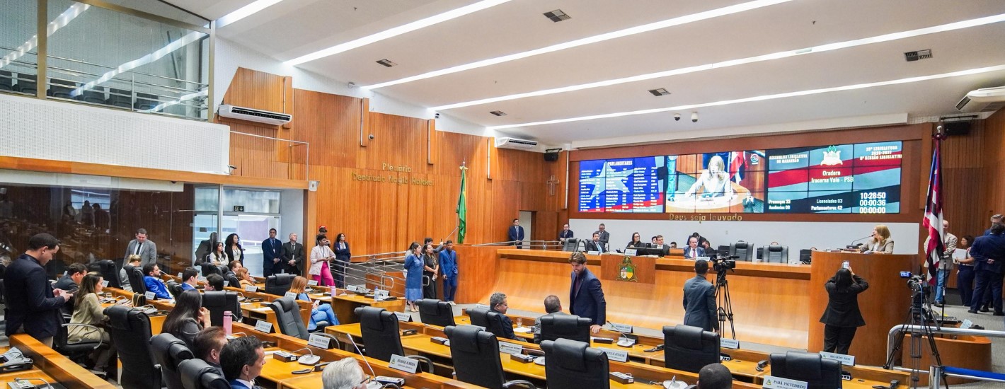Assembleia aprova criação de programa para fortalecer agroindústrias da agricultura familiar no Maranhão