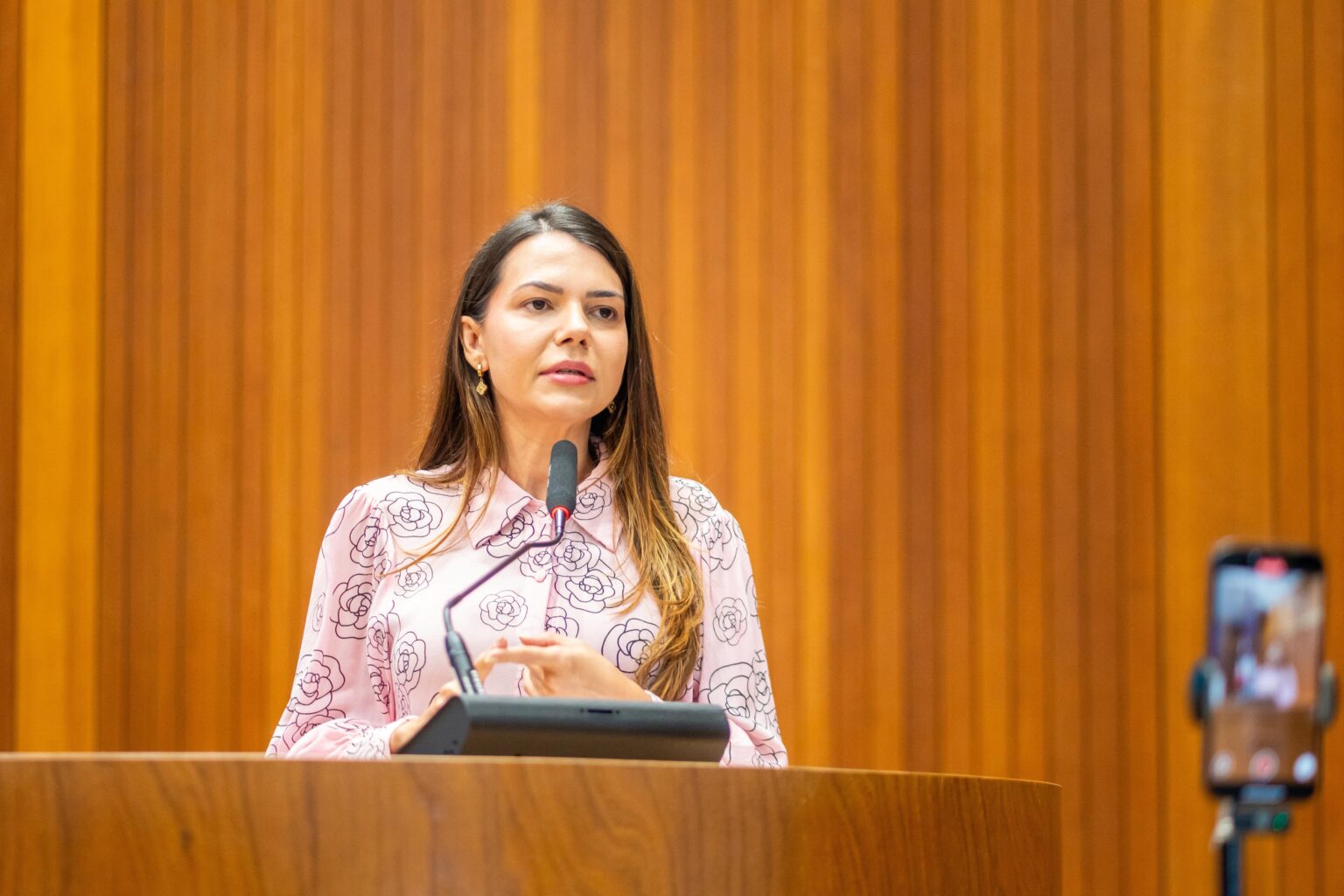 Deputada Janaína destaca avanços para Conselhos Tutelares e investimentos na Região Tocantina