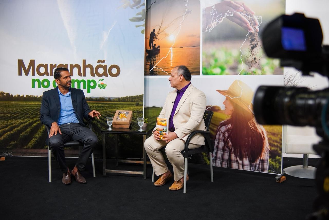 ‘Maranhão no Campo’ – Pesquisador fala sobre impacto da produção de soja no estado e sua força no agronegócio