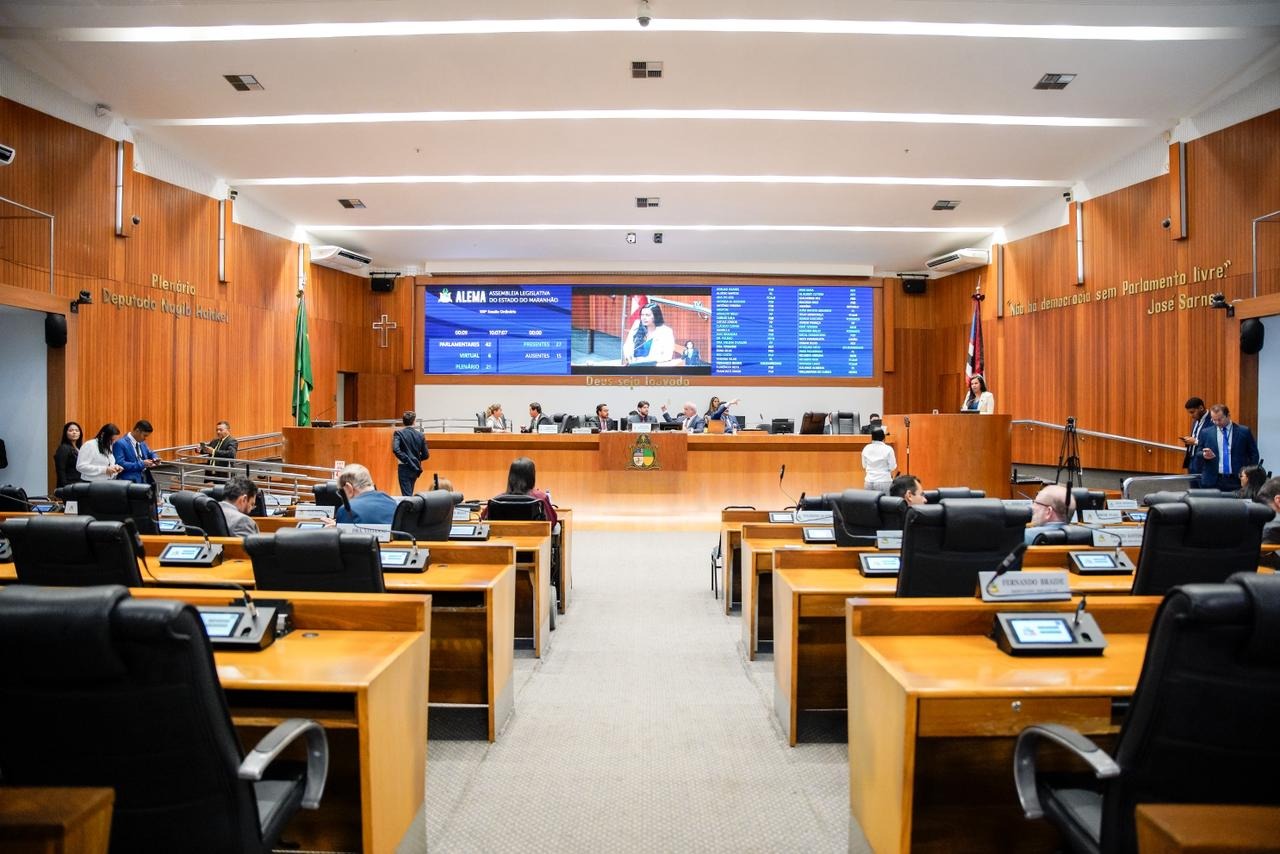 Plenário aprova programa de valorização de protetores e cuidadores de animais