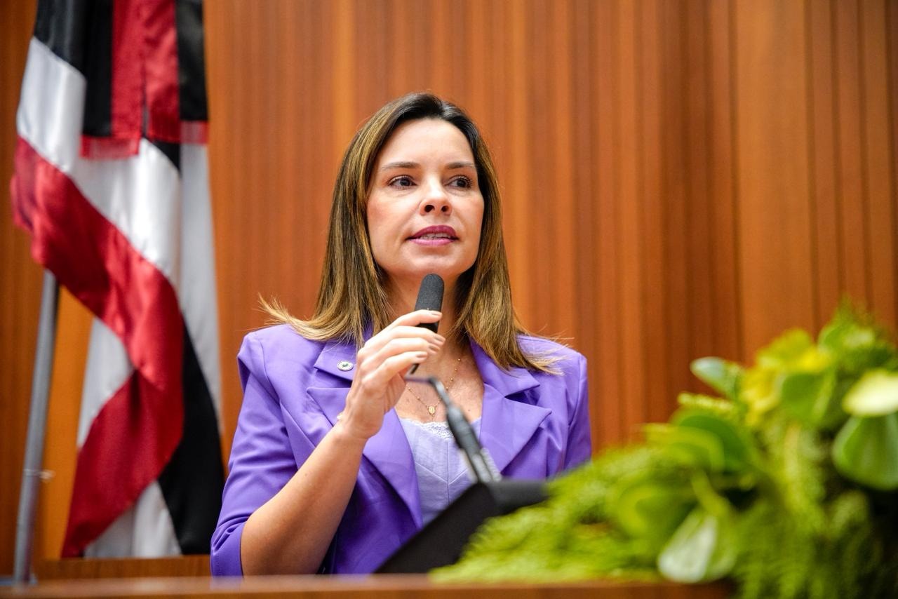 Dra. Vivianne frisa importância de lei que obriga impressão do número do IMEI em notas fiscais de celulares